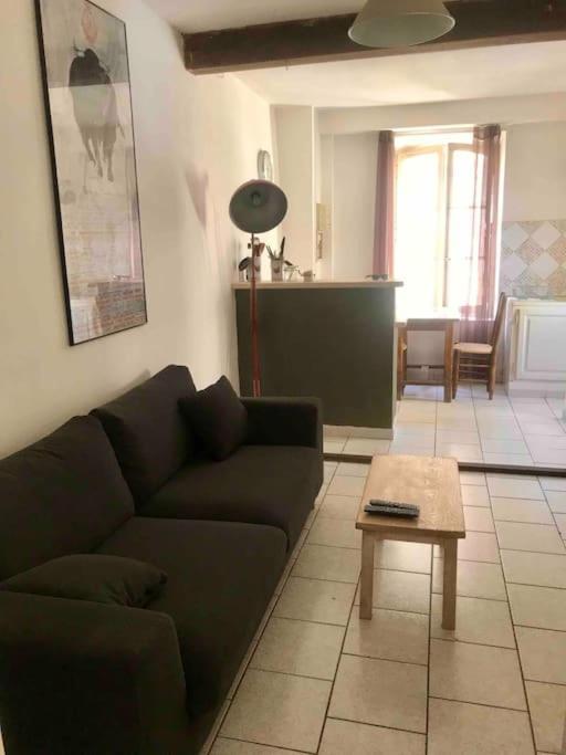 Appartement Face Aux Arenes Arles Dış mekan fotoğraf
